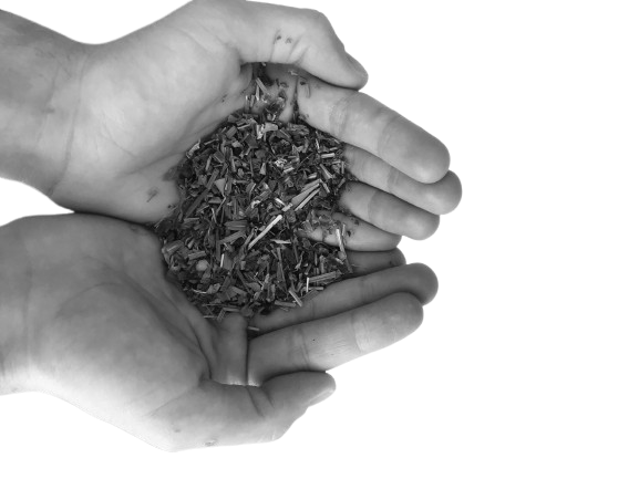 Hands gently holding a blend of dried herbs